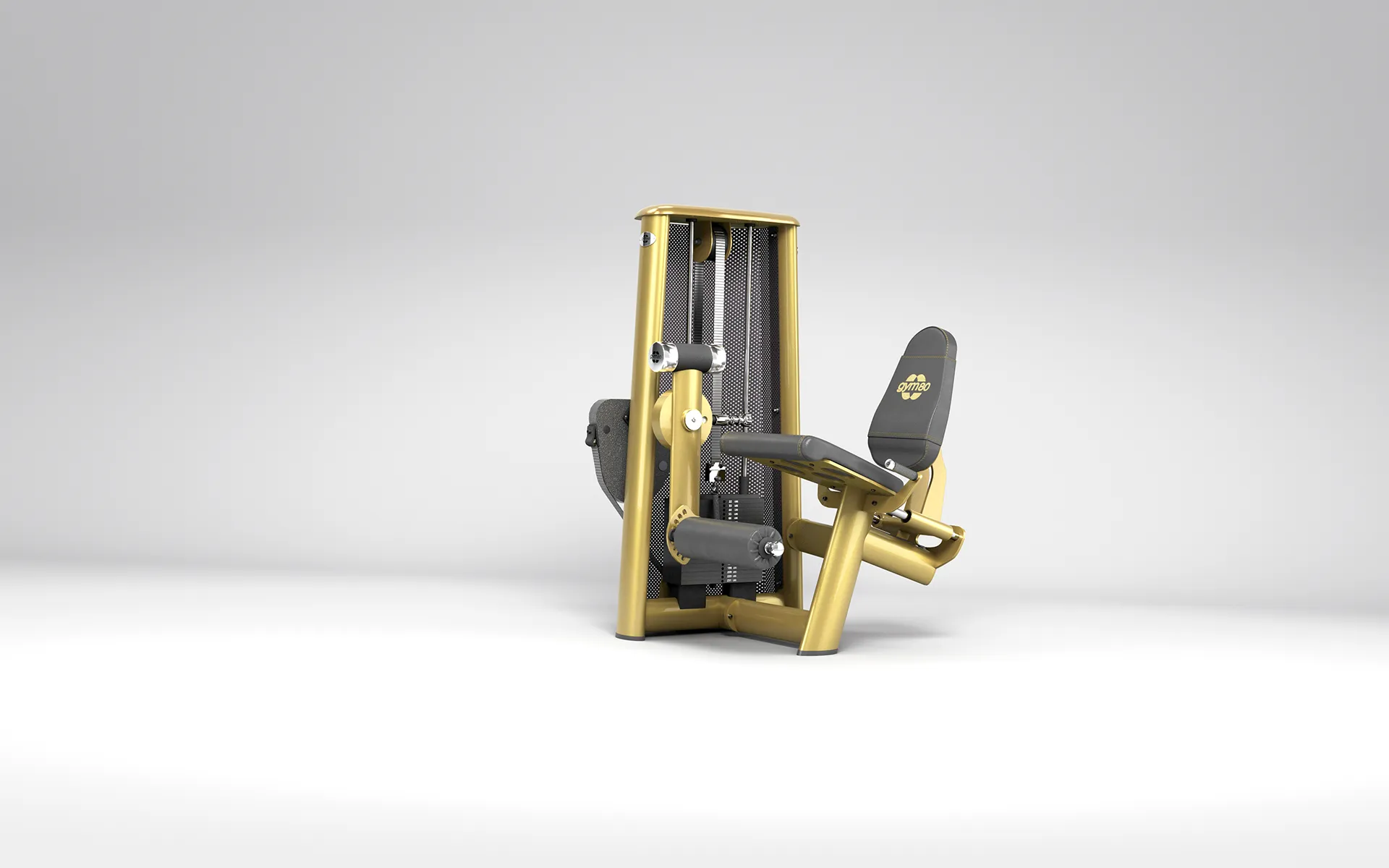 gym80 3001 — LEG EXTENSION