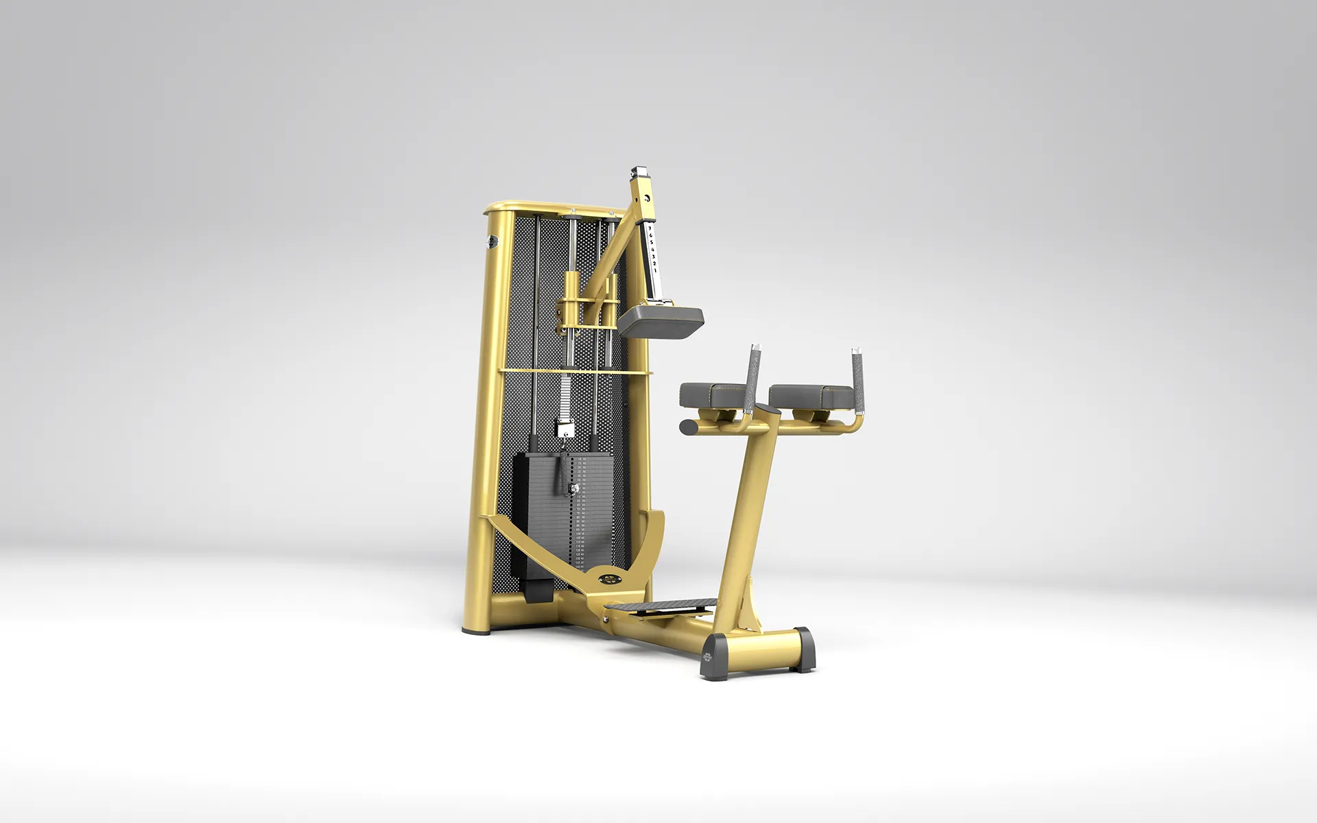 gym80 3094 — DONKEY CALF